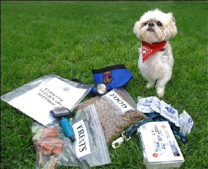 Emergency Prepardness Kit for your Pet