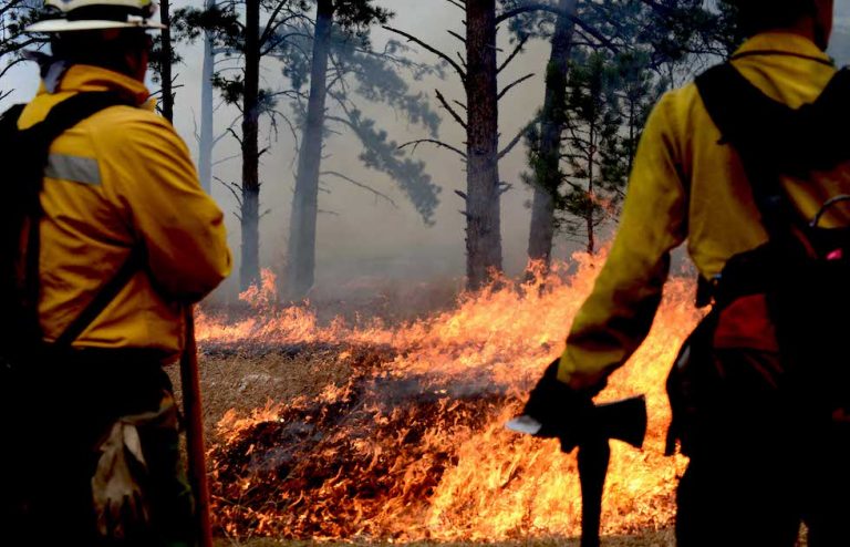 wildfire disaster preparedness plan