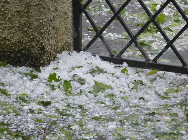 fallen hailstones