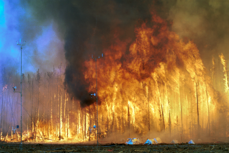 Community Disaster Preparedness