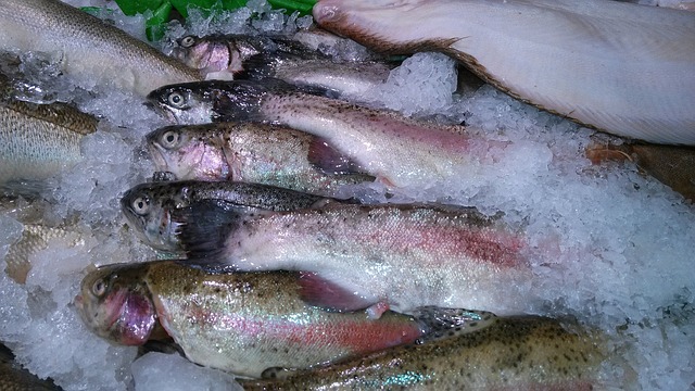 Fishes With Ice