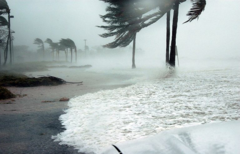 hurricane disaster recovery plan