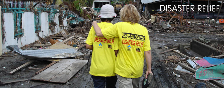 Disaster Relief Organizations