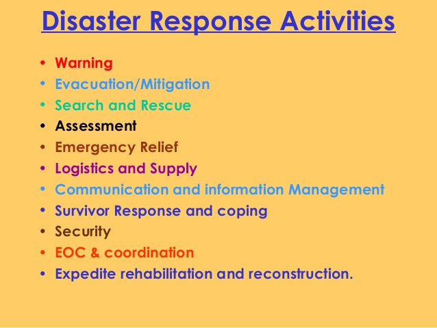 Disaster Response Services