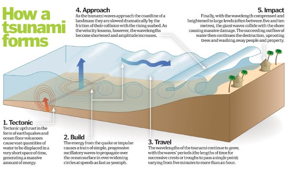 How Do Tsunamis Form